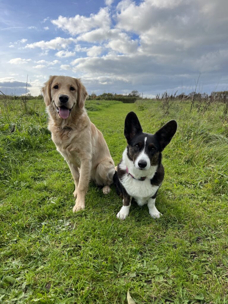 Peanut og Abby
