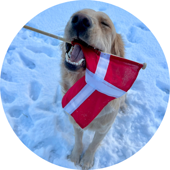 Abby med flag