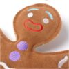 Jean Genie the Gingerbread Man