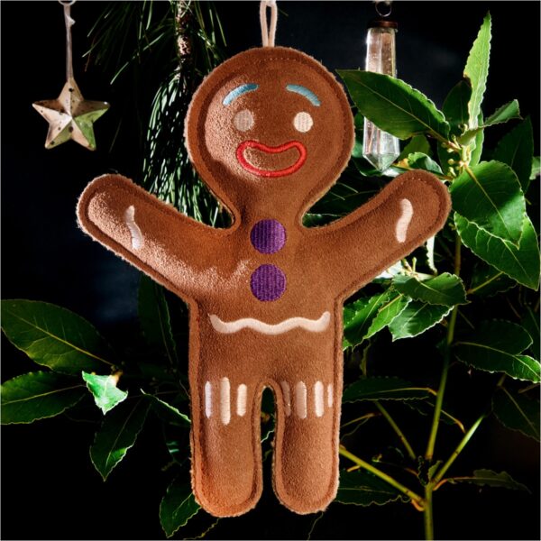 Jean Genie the Gingerbread Man