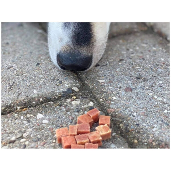 Woolf Duck Chunkies 100g