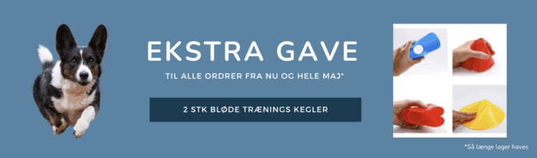 Ekstra gave